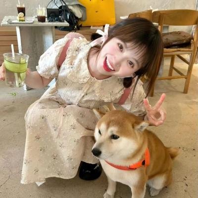 大师之手