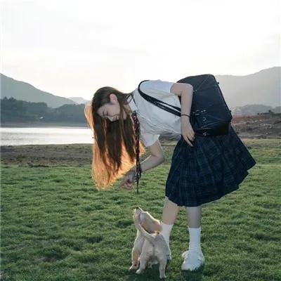 山狗