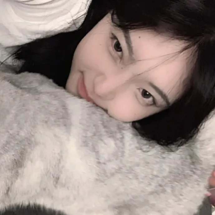 一条叫王子的狗